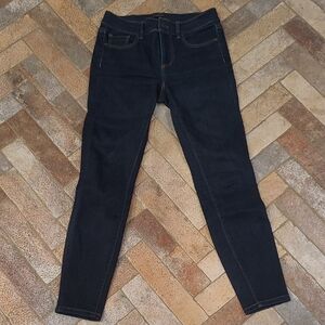 Ann Taylor Blue Skinny Jeans